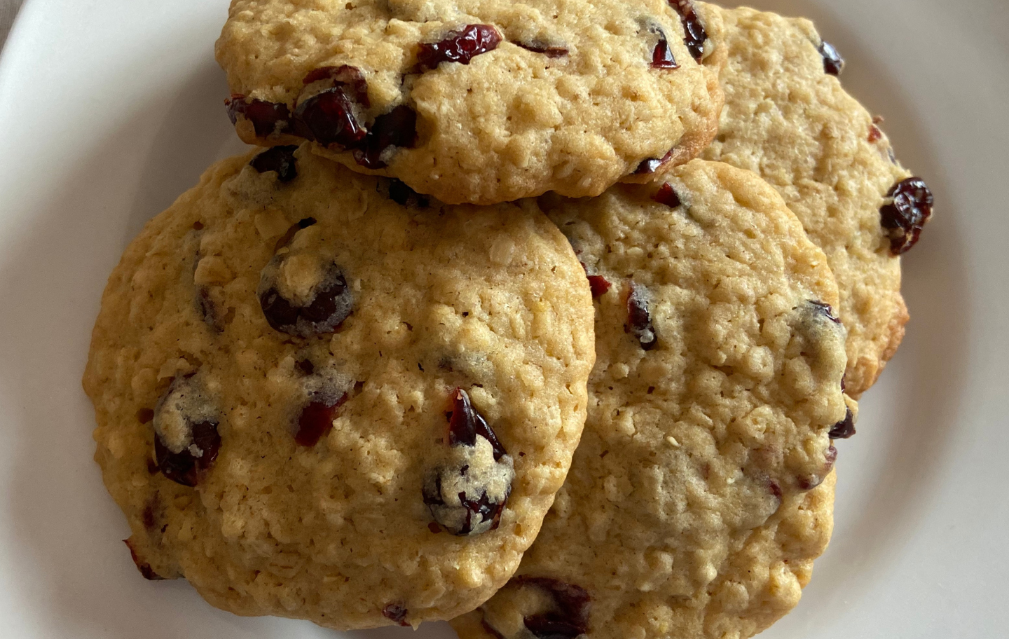 Oatmeal Cranberry (docena) Oatmeal Cranberry (docena)